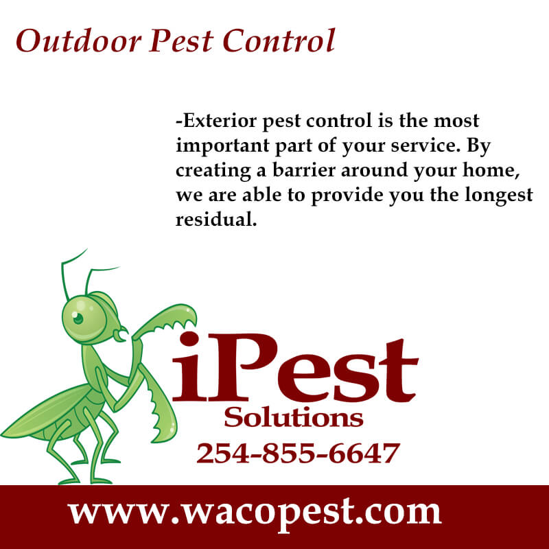 Hewitt Pest Control San Antonio, College Station Pest Control iPest