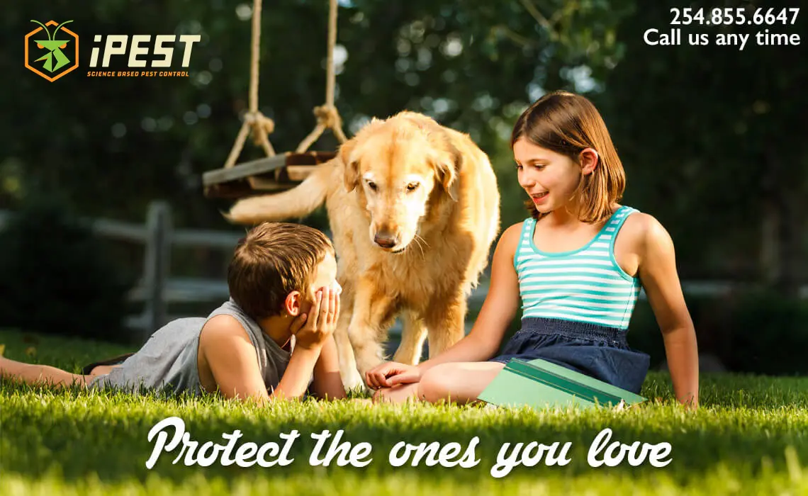 Hewitt-pest-control new logo