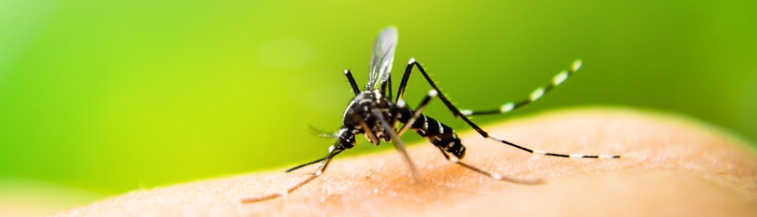 Untitled design – 2021-06-11T125444.633