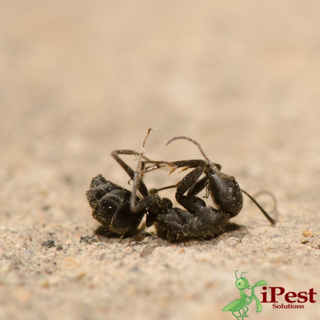 Untitled-design-2022-02-27T110144.697