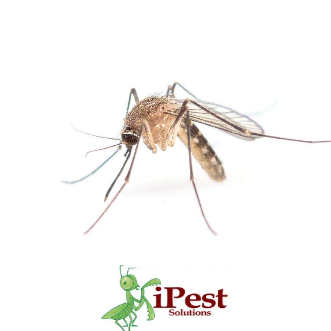 Untitled design – 2022-04-26T113932.971