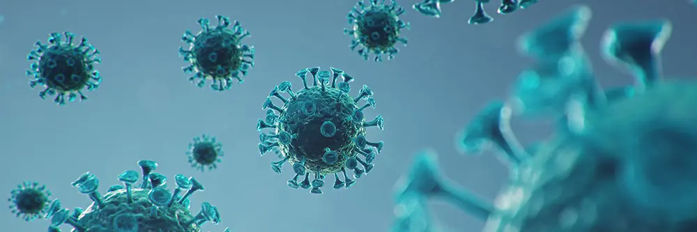 coronavirus