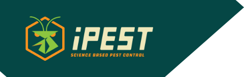 ipest-logo-with-bg-1.png