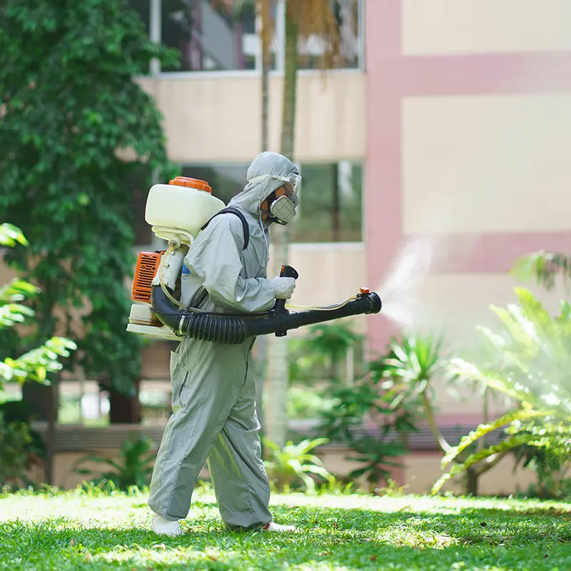 outdoor pest control